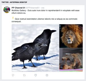 Twitter - anteprima post multifoto