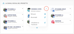 Sezione panoramica - canali social collegati nel progetto corrente