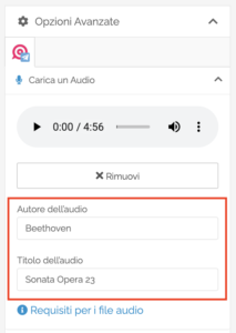 Opzioni Avanzate Audio Upload