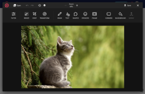 L'area di lavoro del Photo Editor