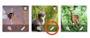 Icona di attivazione del Photo Editor