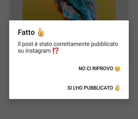 finestra conferma avvenuta pubblicazione su Facebook tramite app mobile PostPickr Notify