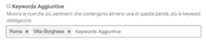 Il campo di inserimento delle keywords aggiuntive