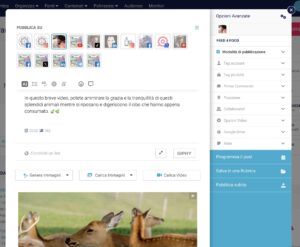 Esempio di un post Reels nel Post Editor