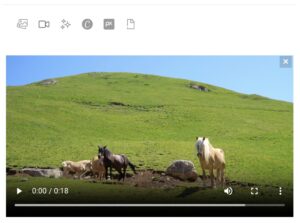 Schermata del player video integrato nel Post Editor