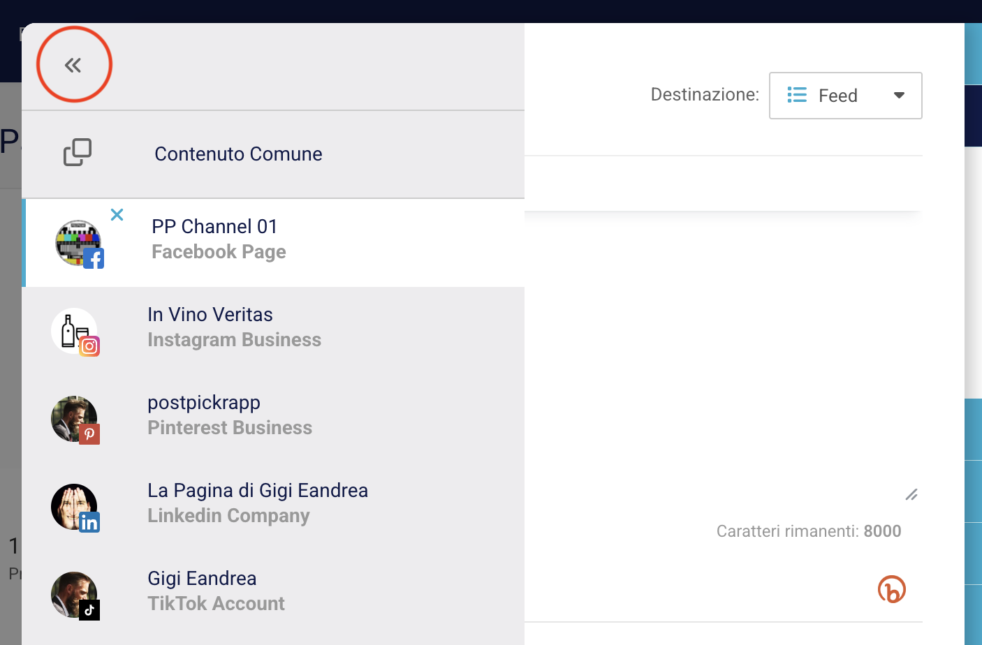 Schermata con la sidebar espansa che visualizza il nome completo di ciascun canale social selezionato.